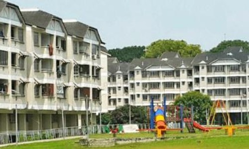 穿山龙胶囊功效与作用-【穿山龙胶囊功效与作用】穿龙骨的功效与作用图片 - 穿龙胶囊是治什么病网