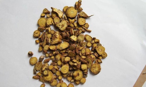 穿龙骨胶囊的功效作用与禁忌-【穿山龙胶囊功效与作用】穿龙骨的功效与作用图片 - 穿龙胶囊是治什么病网