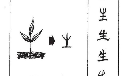 穿龙骨胶囊的功效作用与禁忌-【穿山龙胶囊功效与作用】穿龙骨的功效与作用图片 - 穿龙胶囊是治什么病网