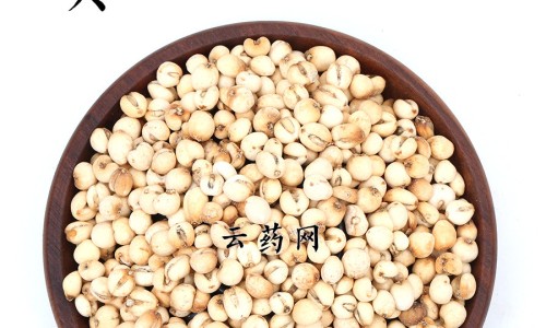 【穿山龙胶囊功效与作用】穿龙骨的功效与作用图片 - 穿龙胶囊是治什么病网
